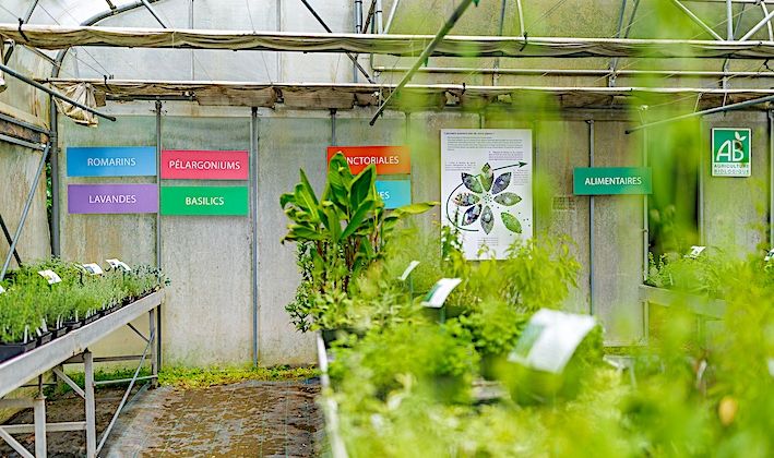 PROMETTEUSES – Plantes à parfum, aromatiques et médicinales à Auch